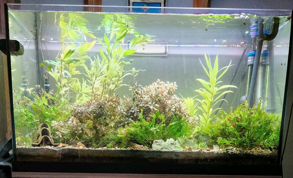 Komplett 120 Liter Aquarium mit Unterschrank in Rhauderfehn