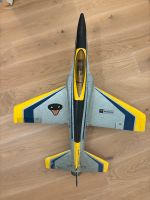 RC Jet Habu von Parkzone inkl. 2 Akkus (4S) München - Ludwigsvorstadt-Isarvorstadt Vorschau