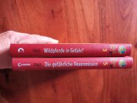 Die magische Insel - Bände 3 und 5 Hessen - Darmstadt Vorschau