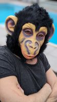 Affe Maske Schimpanse für Motto-Party Nordrhein-Westfalen - Verl Vorschau