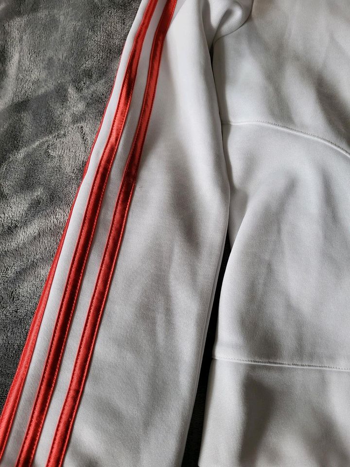 Adidas ,Sport- Bekleidung, Jacke, Hose in Pappenheim