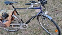 RETRO VINTAGE Hillmann Herrenfahrrad mit 28 Zoll Bergedorf - Hamburg Lohbrügge Vorschau