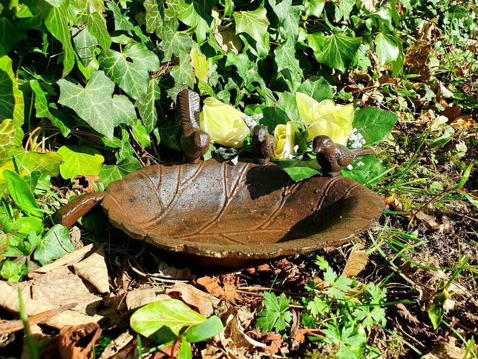 Massive Vogeltränke "Vögelchen auf Blatt" Gusseisen Vogelbad *NEU in Schwäbisch Gmünd