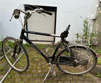 Fahrrad  Gazelle Zoll 28 Vahr - Gartenstadt Vahr Vorschau