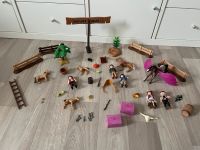 Playmobil Pferde Western Pink Zoo Tiere Wüste Figuren Set Sachsen - Chemnitz Vorschau