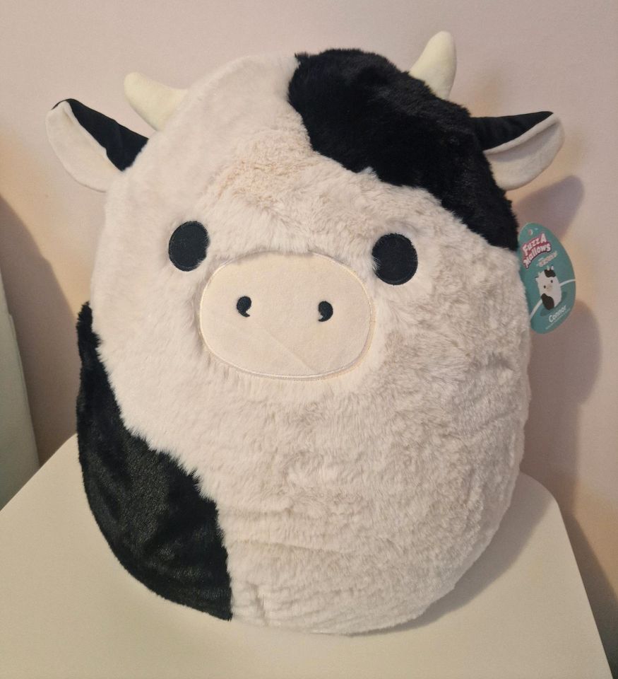 Squishmallow Connor Fuzzymellow in Aarbergen