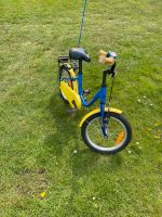 Kinderfahrrad von Noxon 16 Zoll Schleswig-Holstein - Neumünster Vorschau