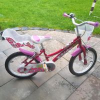 Fahrrad Mädchen 16 Zoll Dinobikes Sachsen - Schlema Vorschau