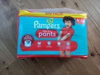 Pampers baby dry pants Größe 6  46 Stück Bayern - Tettenweis Vorschau