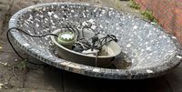 Springbrunnen mit LED Niedersachsen - Rhauderfehn Vorschau