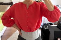 Zara Bluse Oberteil Crop Shirt rot XS 34 TOP Niedersachsen - Celle Vorschau