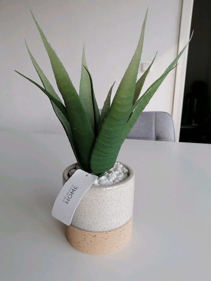 NEU Aloe Vera, Kunstpflanze, Kaktus, künstliche Pflanze, Deko in Recklinghausen