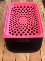 Tupperware Zwiebellager schwarz/pink Baden-Württemberg - Elztal Vorschau