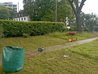 Baumpflege/Gartenpflege/Heckenschnitt/Hausmeisterservice Hessen - Wiesbaden Vorschau