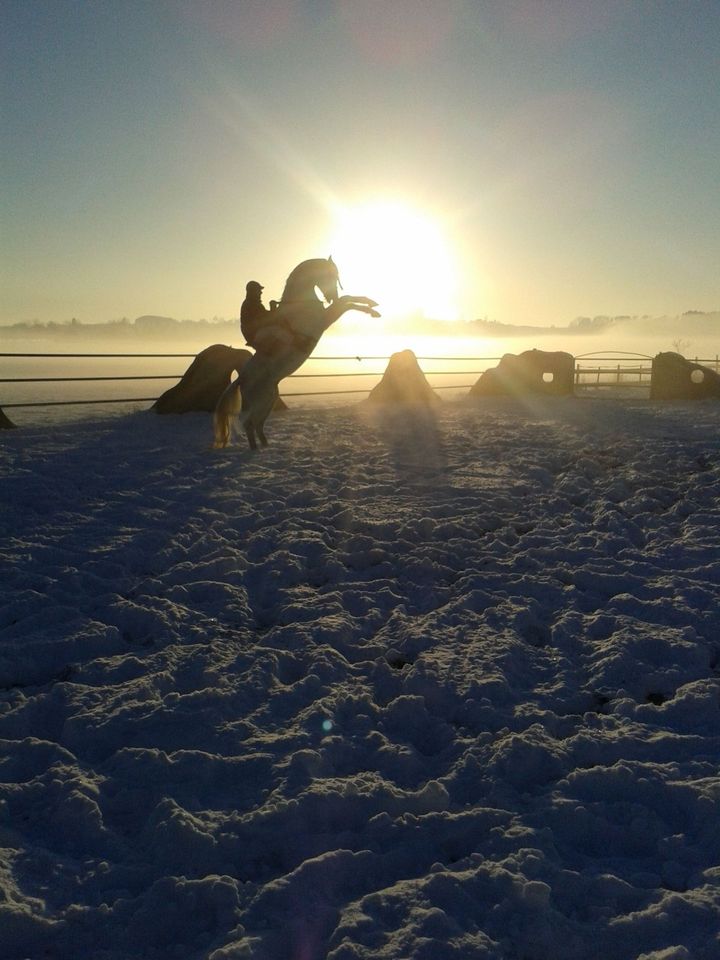 Qualifizierter Reitunterricht in Leutkirch im Allgäu