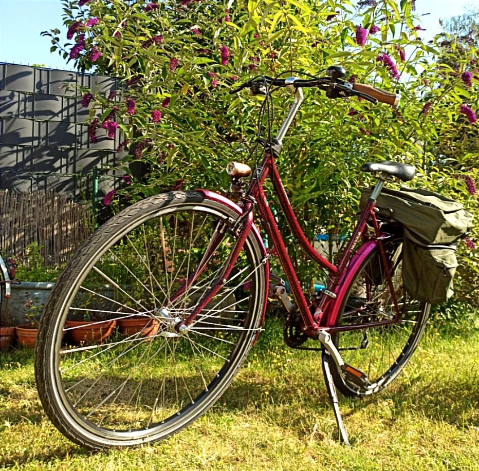 Fahrrad Scheinwerfer SUPERNOVA E3 Pure Gold Edition ❤️❤️❤️ in Göttingen