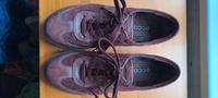 Ecco Schnürschuhe, Größe 38 Baden-Württemberg - Freiburg im Breisgau Vorschau