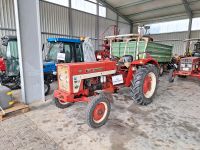 McCormick International 353 Traktor Baden-Württemberg - Bad Saulgau Vorschau