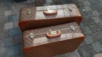Zwei ALTE doch super erhaltene Delsey Leder Koffer Hessen - Rüsselsheim Vorschau