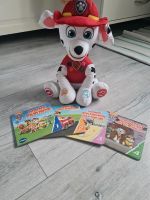 Marshall Geschichten Erzähler Paw Patrol Nordrhein-Westfalen - Paderborn Vorschau