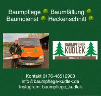 Heckenschnitt - Hecke schneiden - professioneller Baumpfleger Nordrhein-Westfalen - Brühl Vorschau