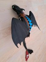 Drachen Ohne Zahn, Dragons Baden-Württemberg - Balingen Vorschau