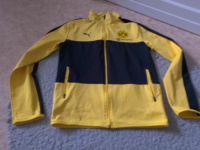 Borussia Dortmund Jacke Gr.M Sachsen - Delitzsch Vorschau