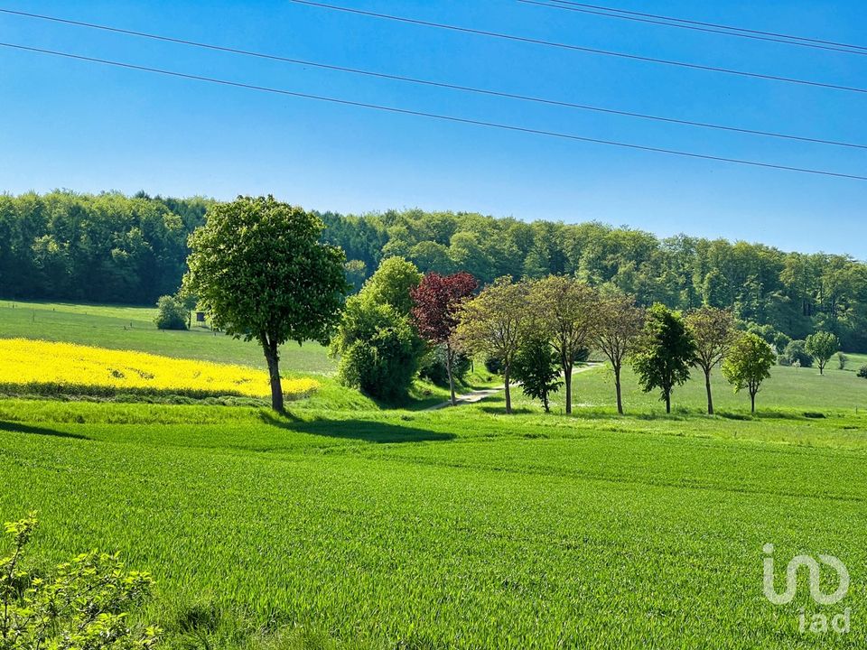 Naturnahes Einfamilienhaus mit Einliegerwohnung in Ortsrandlage mit unverbaubarem Blick in Einbeck