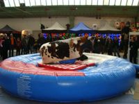 Bullriding Nordrhein-Westfalen - Kalkar Vorschau