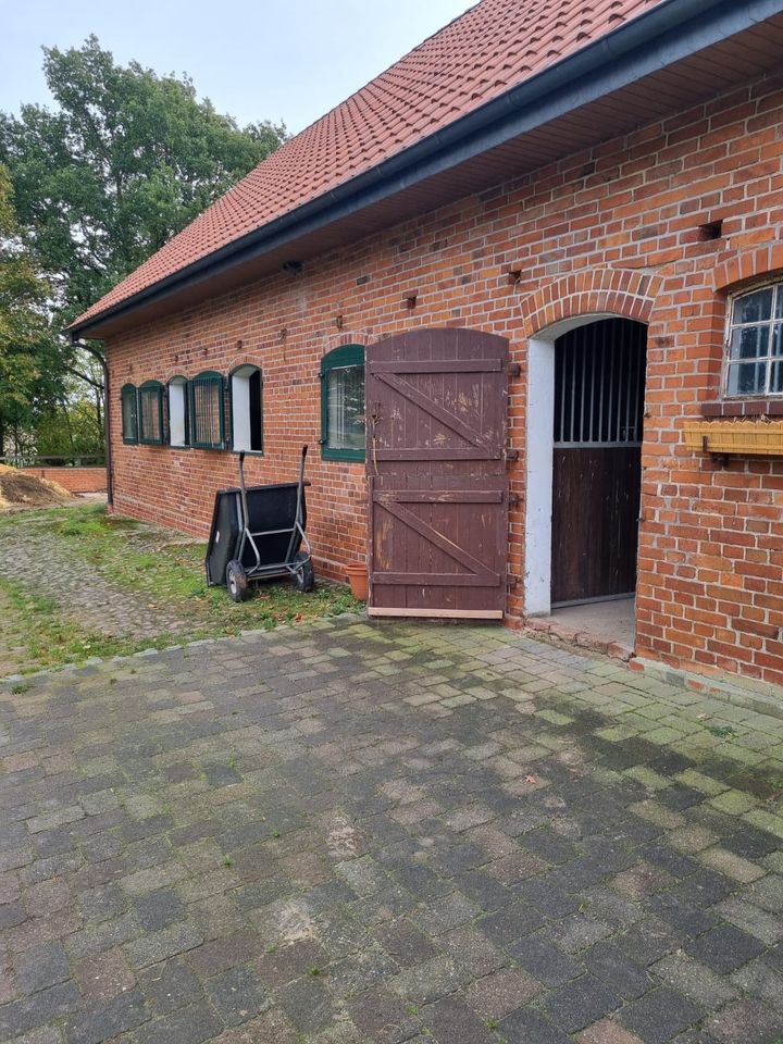 Einstellplatz frei / Stallplatz / Pferdebox / Pferde / Reitplatz in Bruchhausen-Vilsen