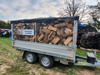 Brennholz Kaminholz aus der Region   Nadelholz Nordrhein-Westfalen - Netphen Vorschau