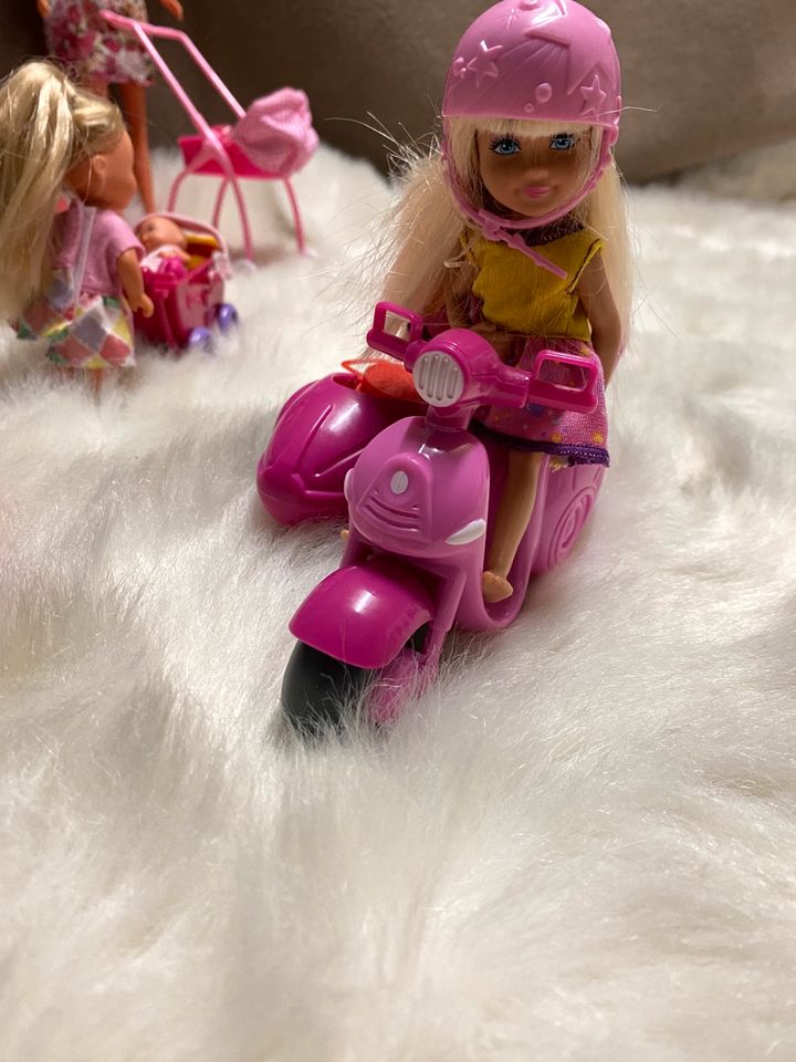 Barbie Spielplatz mit Zubehör in Hof (Saale)