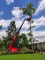 Mitarbeiter Landschaftspflege (m/w/d) Hessen - Groß-Umstadt Vorschau