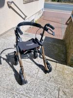 Leichtgewichts Rollator Niedersachsen - Obernkirchen Vorschau