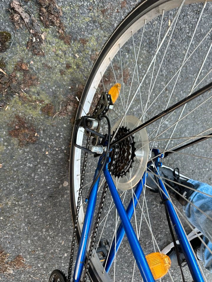 Fahrrad 28 Zoll Herren in Datteln