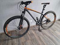 MTB Giant Terrago 2 29" Gr. M Montainbike Fahhrad 2020 Hardtail Sachsen-Anhalt - Blankenburg (Harz) Vorschau