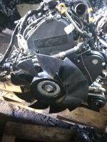 MOTOR  IVECO DAILY 2.3D EURO6   F1AGL411H  eur6 7tkm komplett Sachsen - Dippoldiswalde Vorschau