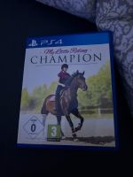 Ps4 spiel Pferde spiel My Little Riding Champion Hessen - Wächtersbach Vorschau