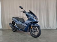 Honda PCX 125 I Alle Farben I SOFORT Bayern - Neu Ulm Vorschau