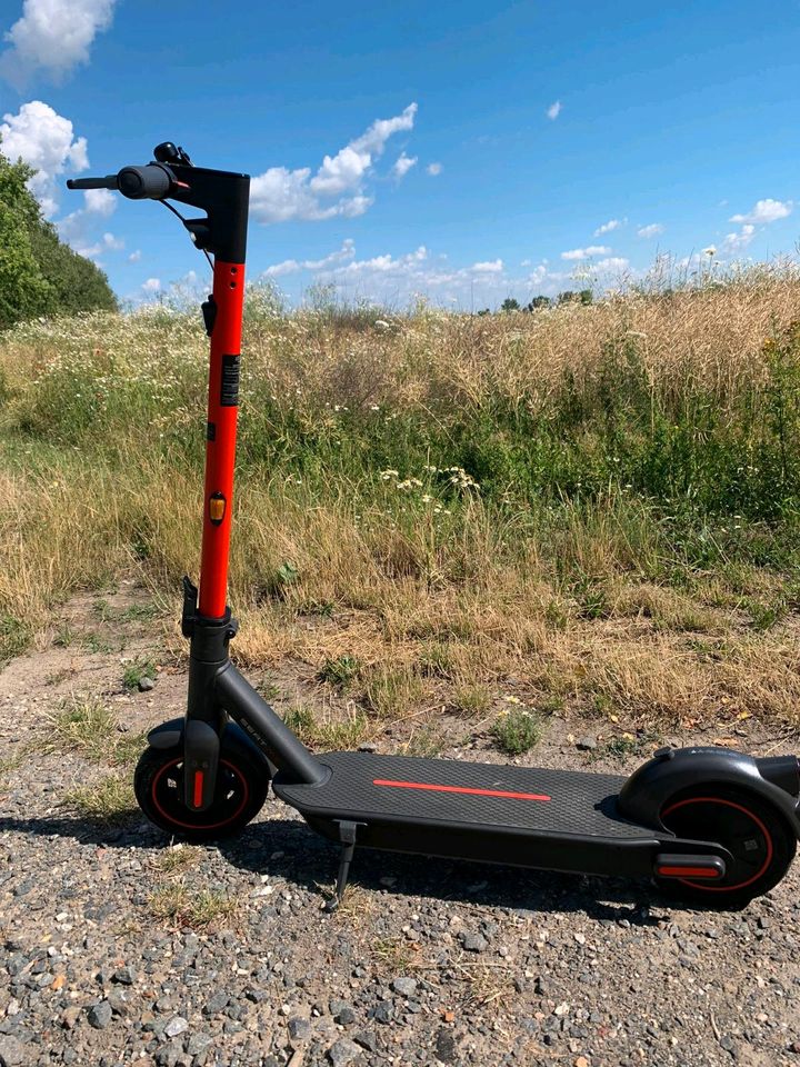 SEAT Mo 65 Kickscooter by Segway Mó Roller in Altenburg