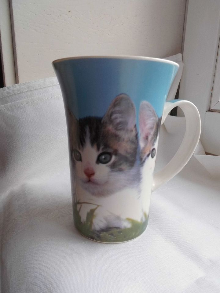 Kaffeebecher Porzellan Cappuccino-Tasse Katzenmotiv Kätzchen in Dürrröhrsdorf-Dittersbach