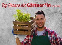 Gärtner (m/w/d) - auch als Quereinsteiger | Detmold Nordrhein-Westfalen - Detmold Vorschau