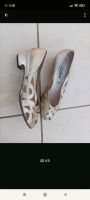 Gabor gr 39  5 1/2 Pumps Schuhe wie neu Nordrhein-Westfalen - Olsberg Vorschau