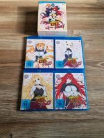 High School DXD - Staffel 4 - Anime/ Manga Bayern - Kaufbeuren Vorschau