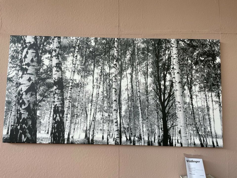 Bild „Birch“ Foto-Druck Leinwand Kunst Kunstwerk Deko in Worms