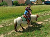 Wandern mit Pony Ponyreiten für Kinder reiten Pferd Bayern - Geroda Vorschau