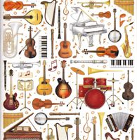 Suche Musikinstrumente Hessen - Lampertheim Vorschau