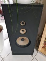 2 Stück HI-FI Lautsprecher Boxen, Transonic Intermarket, Bayern - Alzenau Vorschau