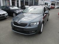 Octavia Combi Joy*AHK*Standhz.*Bi-Xenon*Navi Bayern - Bayreuth Vorschau