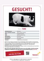 Kater Taro vermisst Nordrhein-Westfalen - Castrop-Rauxel Vorschau